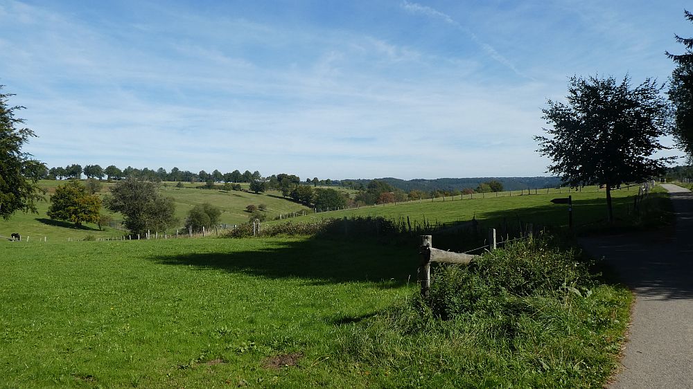 Eifelsteig