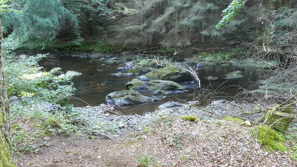 Eifelsteig