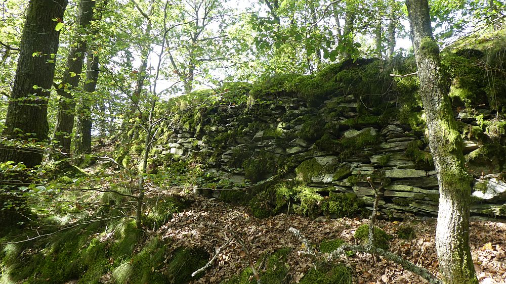 Eifelsteig