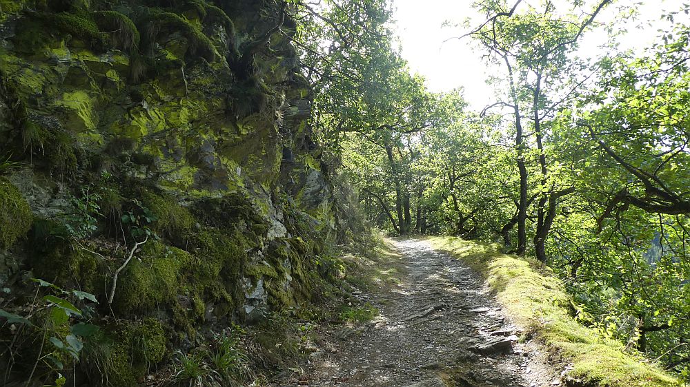Eifelsteig