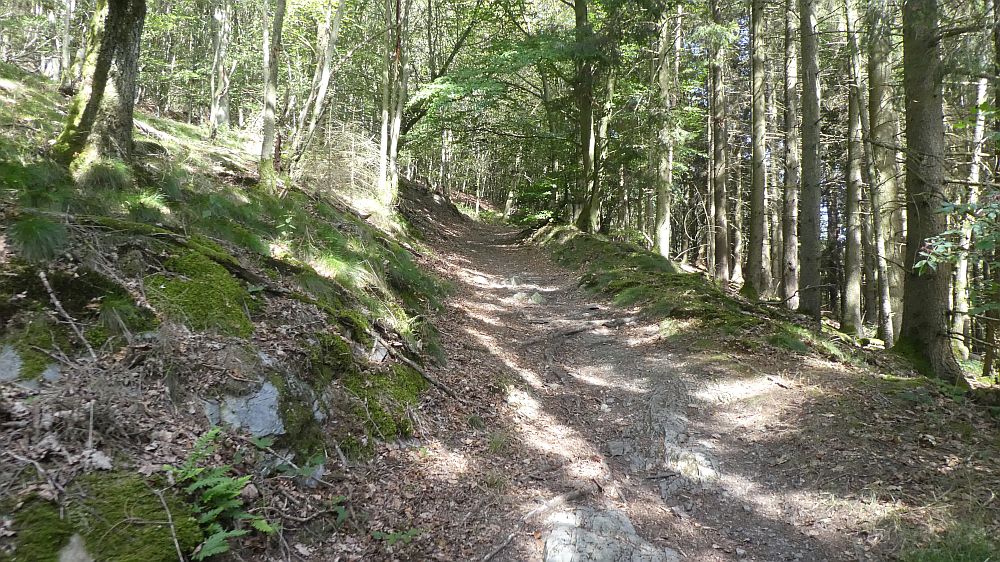 Eifelsteig