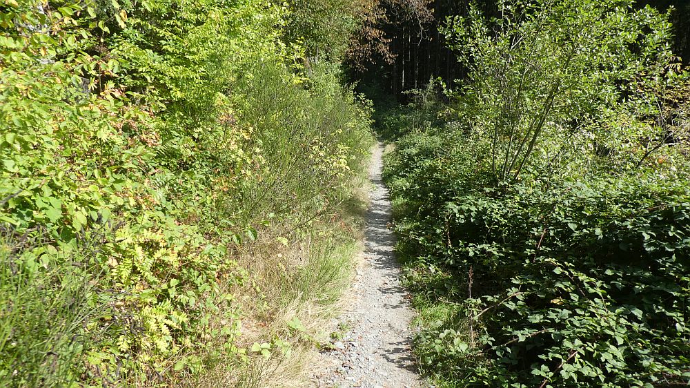 Eifelsteig