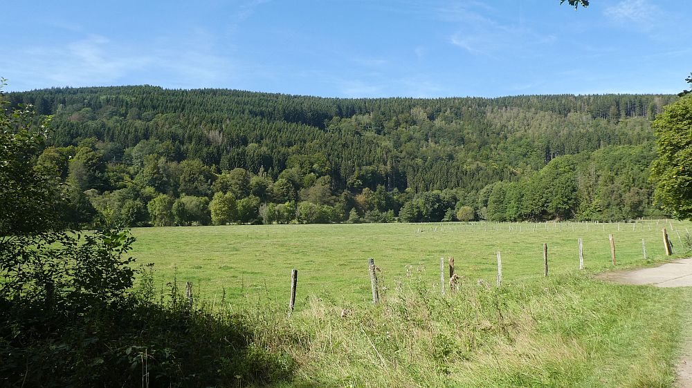Eifelsteig