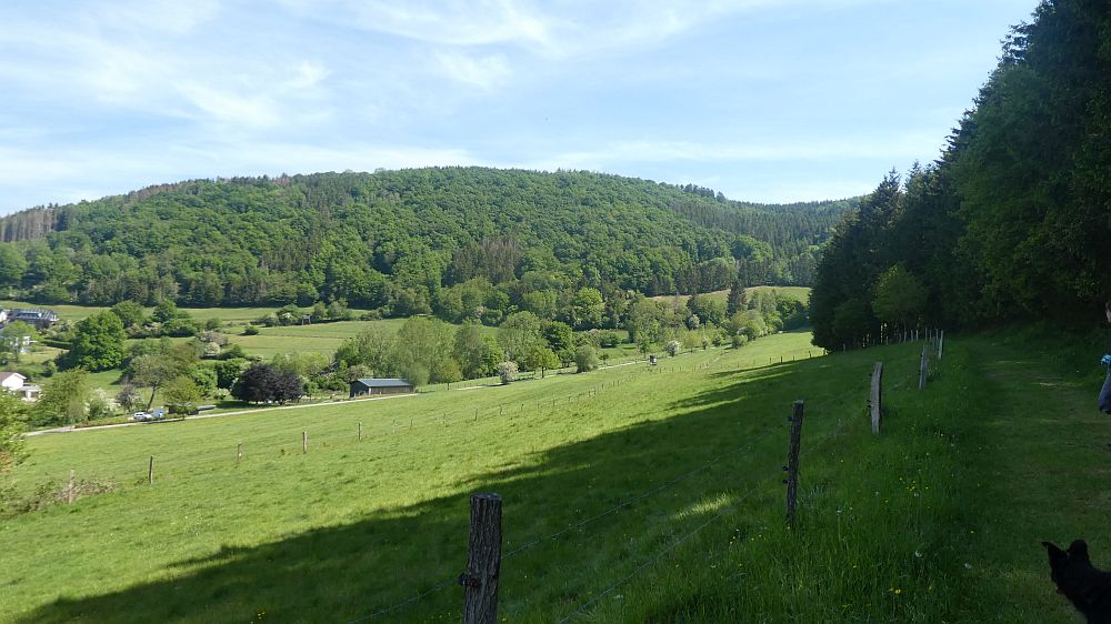 Eifelsteig