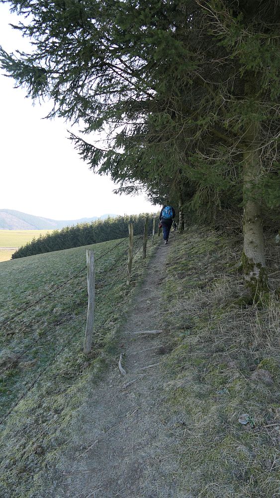 Boedefelder Hollenpfad
