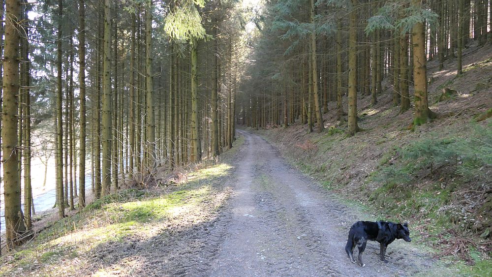 Boedefelder Hollenpfad