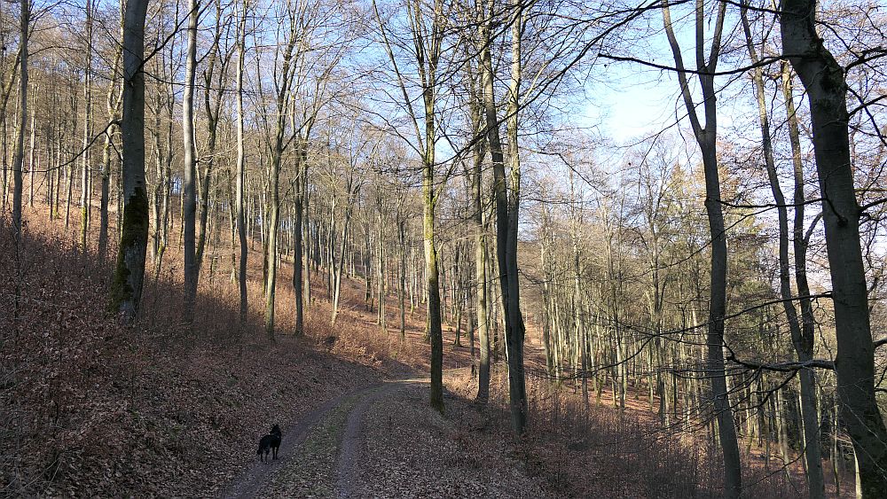 Boedefelder Hollenpfad