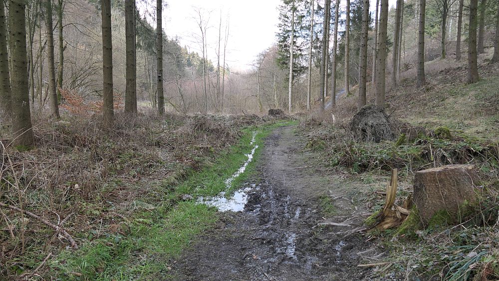 Boedefelder Hollenpfad