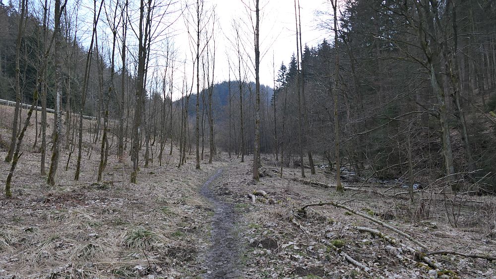 Boedefelder Hollenpfad