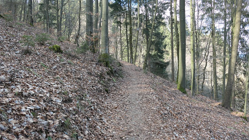 Boedefelder Hollenpfad