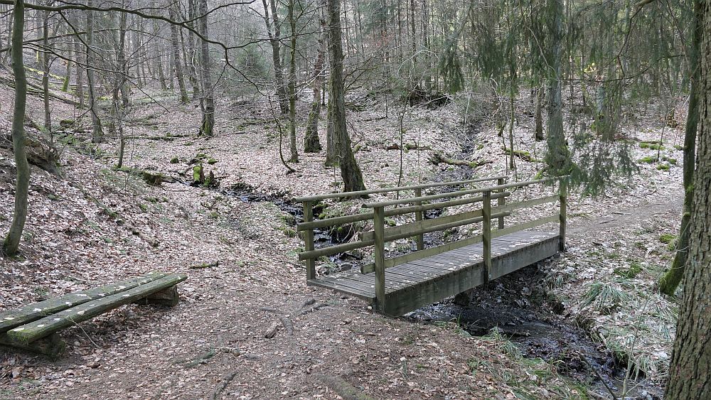 Boedefelder Hollenpfad