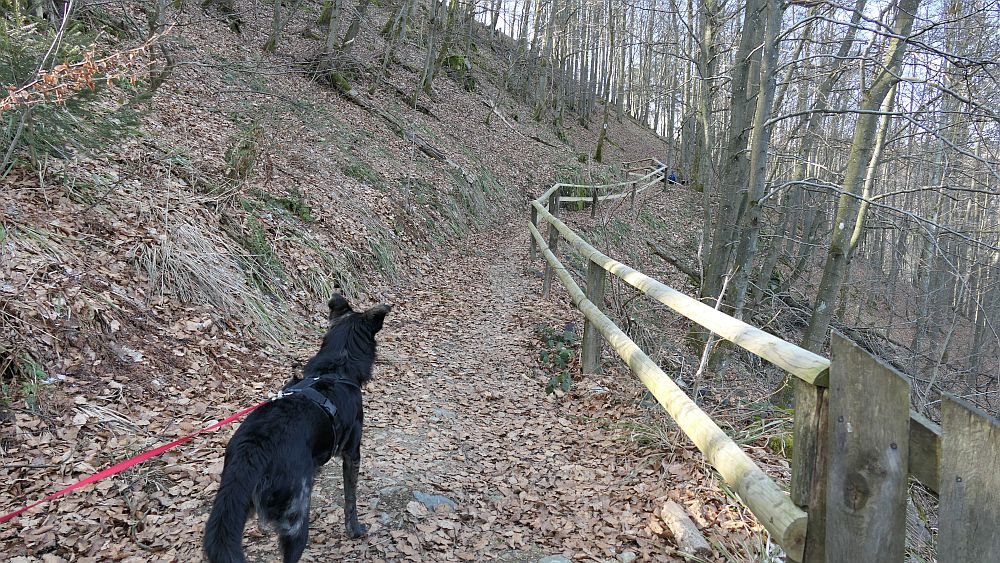 Boedefelder Hollenpfad