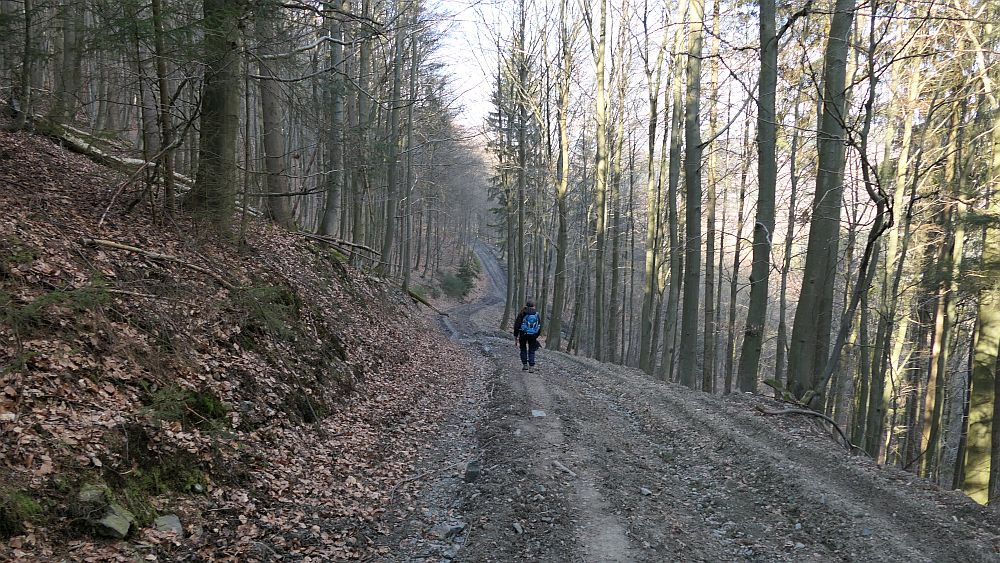 Boedefelder Hollenpfad
