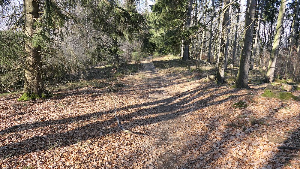 Boedefelder Hollenpfad