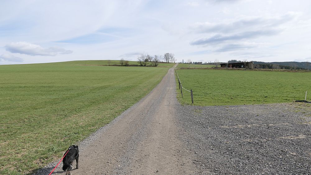 Grafschaft