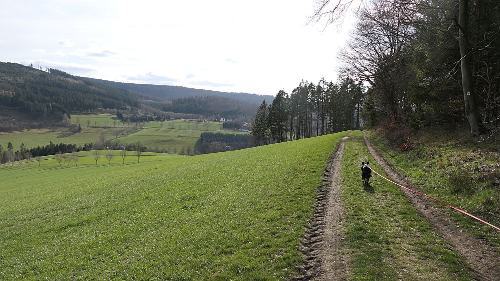 Grafschaft