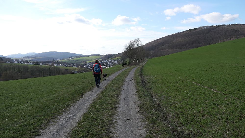 Grafschaft