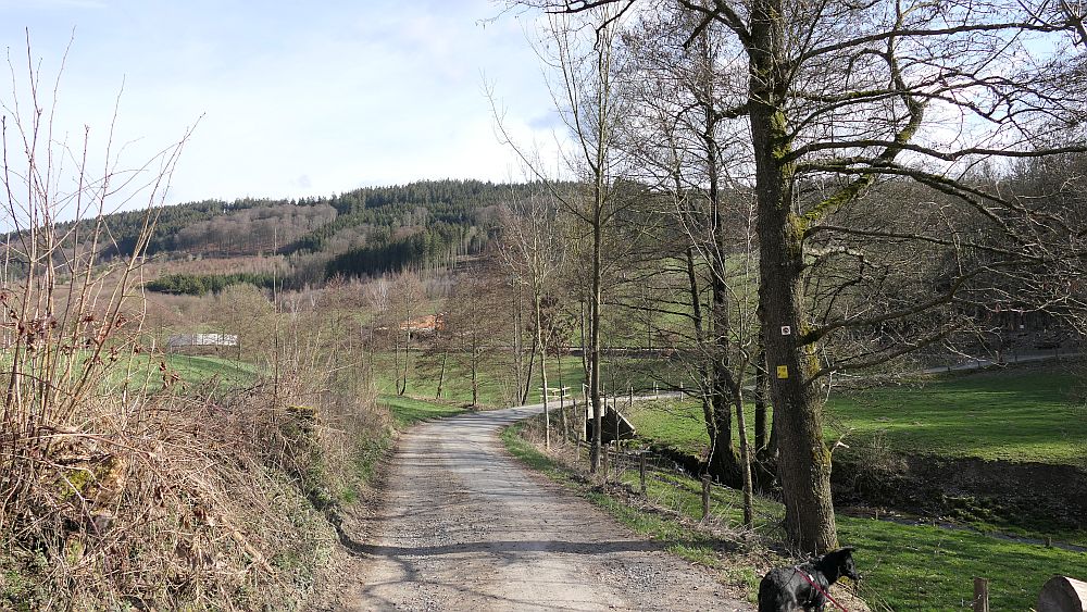 Grafschaft