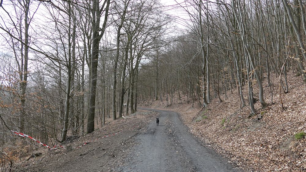 Grafschaft