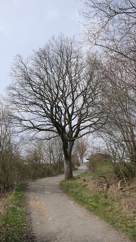 Grafschaft