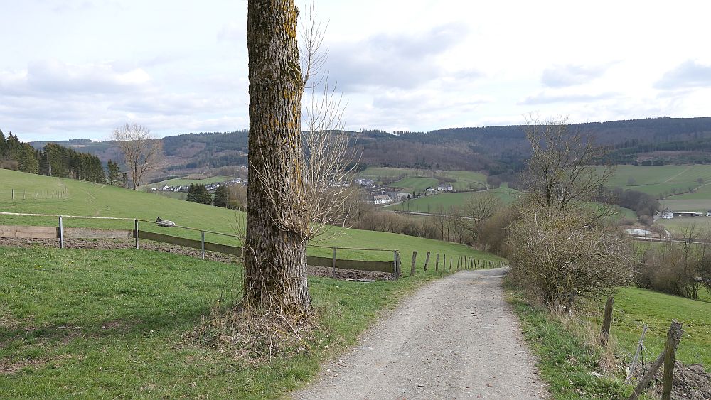 Grafschaft