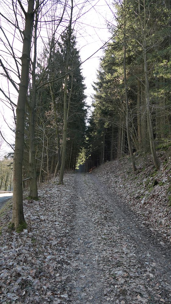 Oberhenneborn