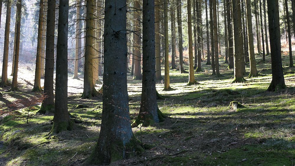 Oberhenneborn