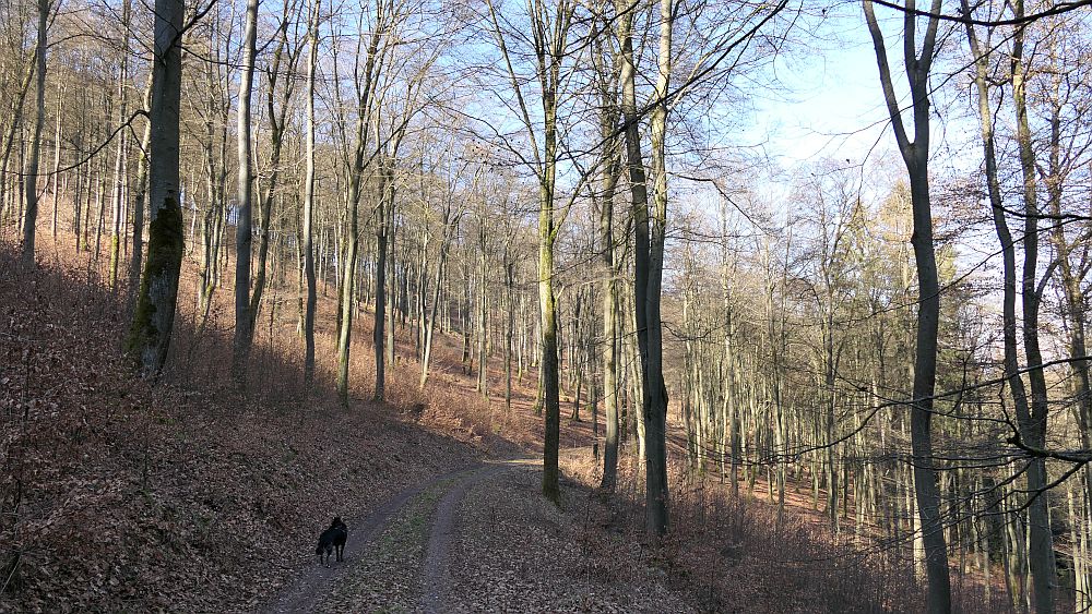Oberhenneborn