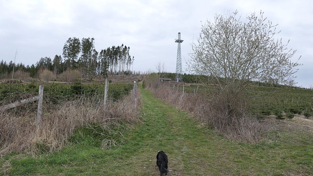 Holthausen