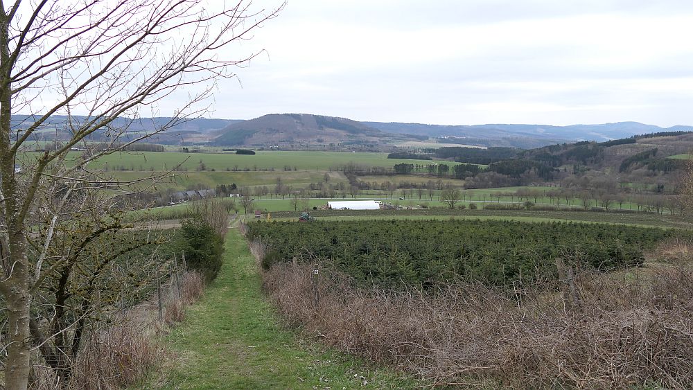 Holthausen
