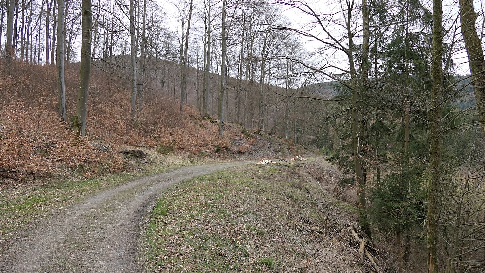 Holthausen