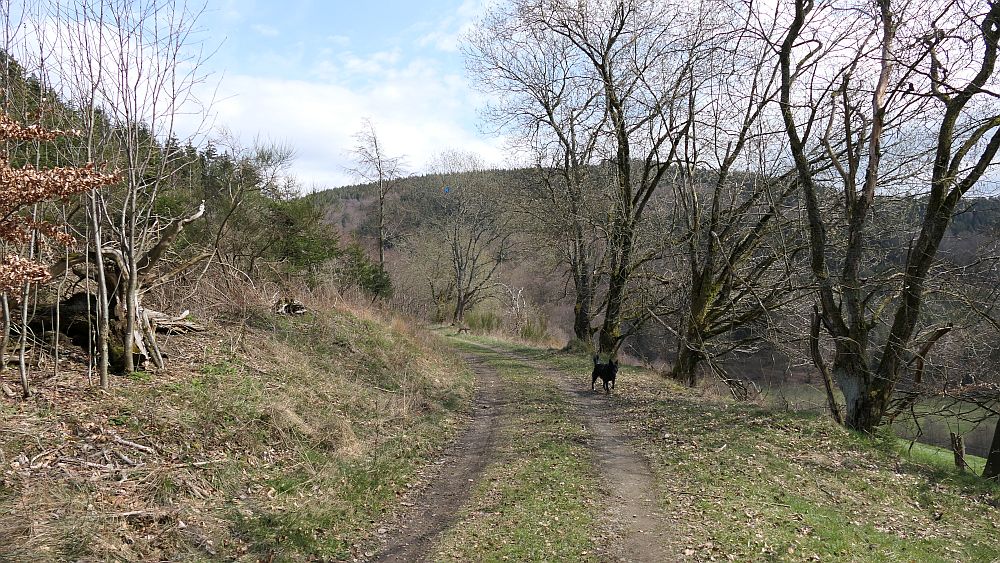 Holthausen