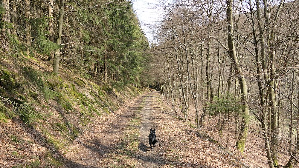 Holthausen