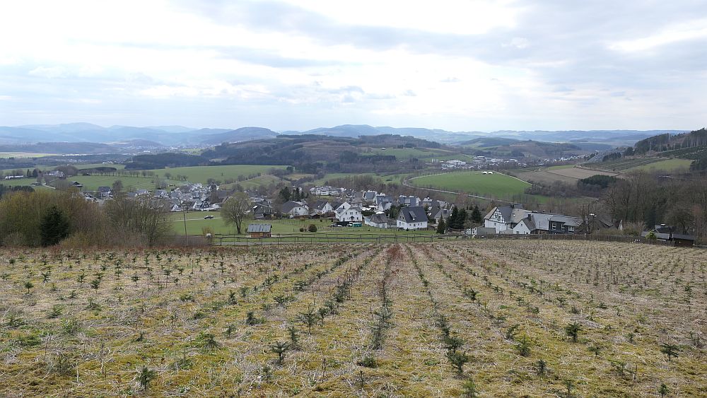 Holthausen