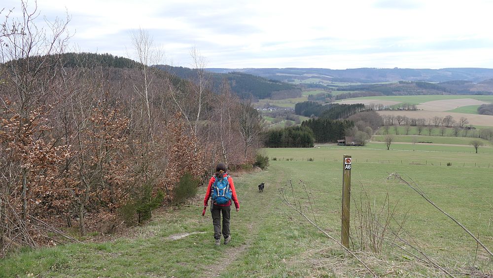 Holthausen