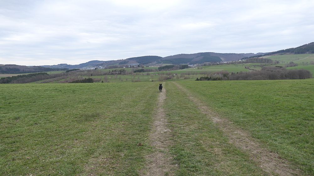 Holthausen