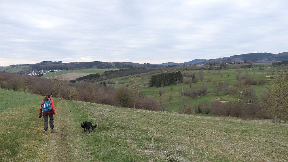 Holthausen