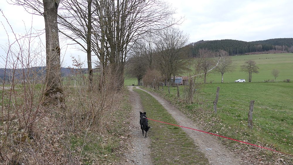 Holthausen