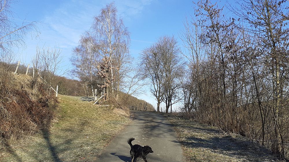 Kirchrarbach