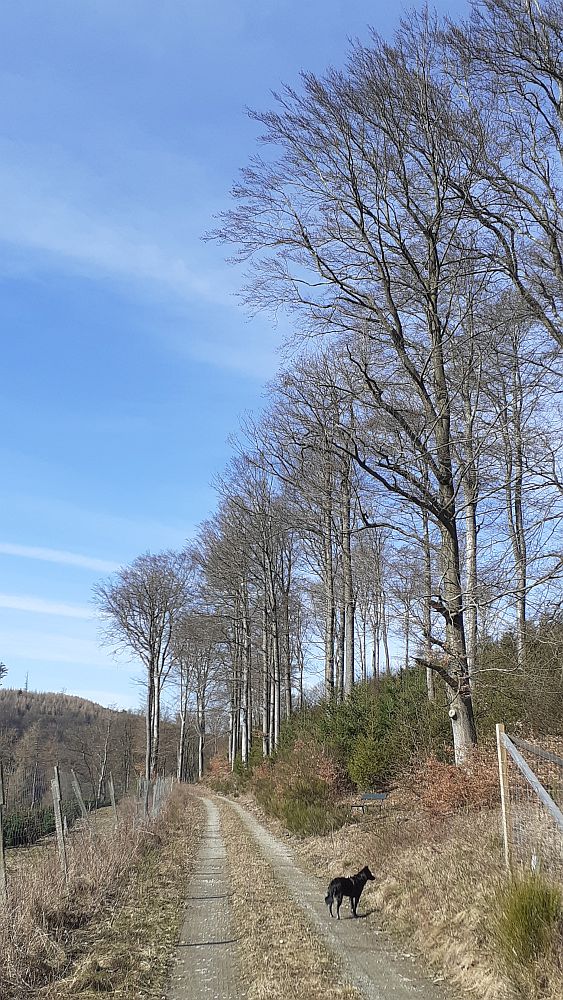 Kirchrarbach