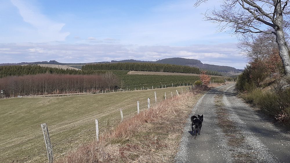 Kirchrarbach