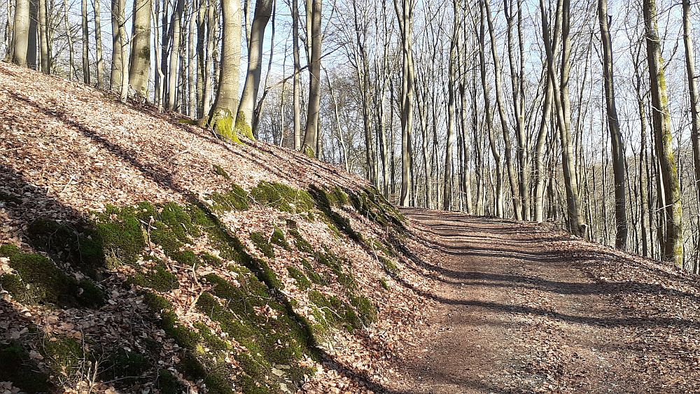 Kirchrarbach
