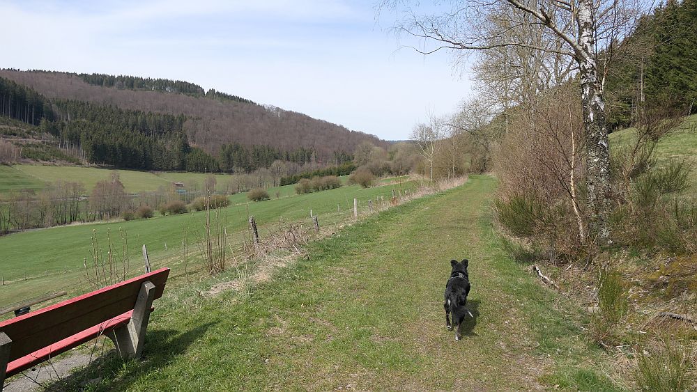 Niedersorpe