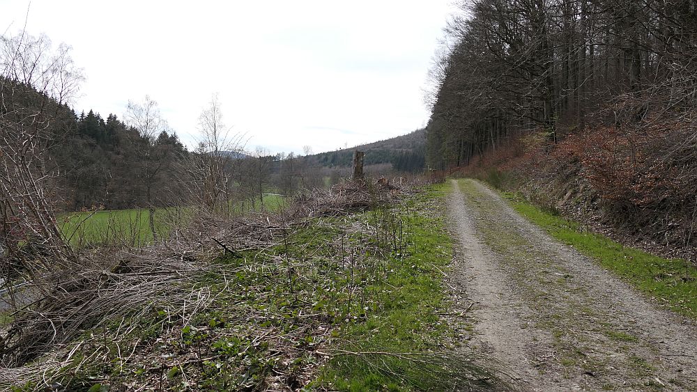 Niedersorpe