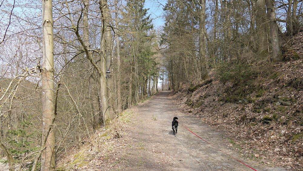 Niedersorpe