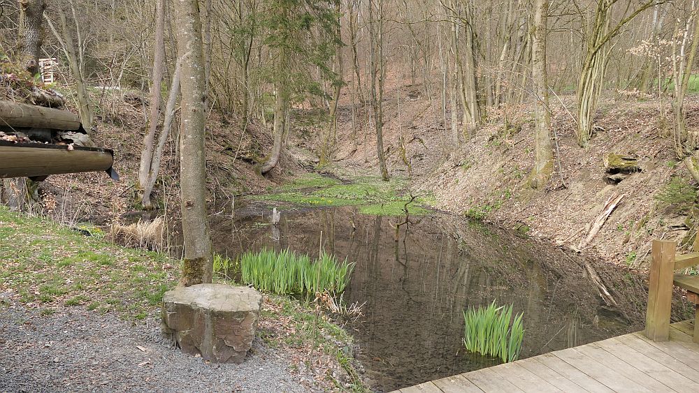 Niedersorpe