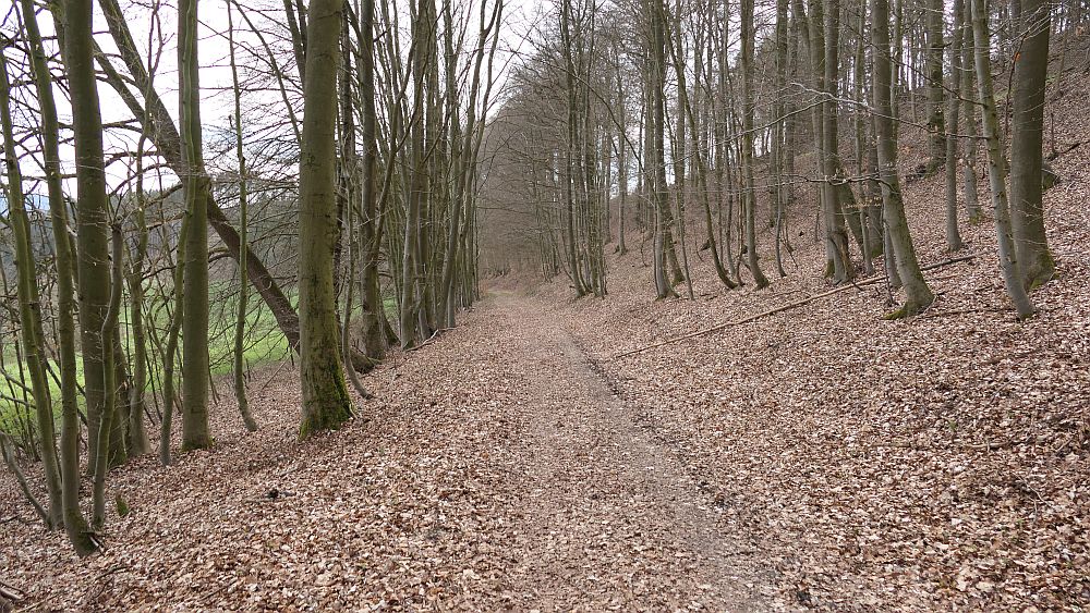Niedersorpe