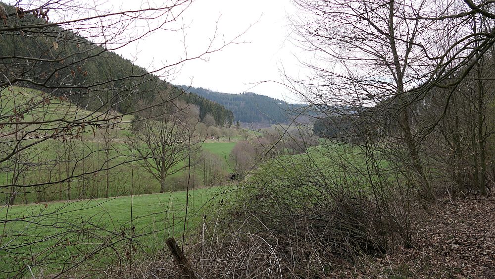 Niedersorpe
