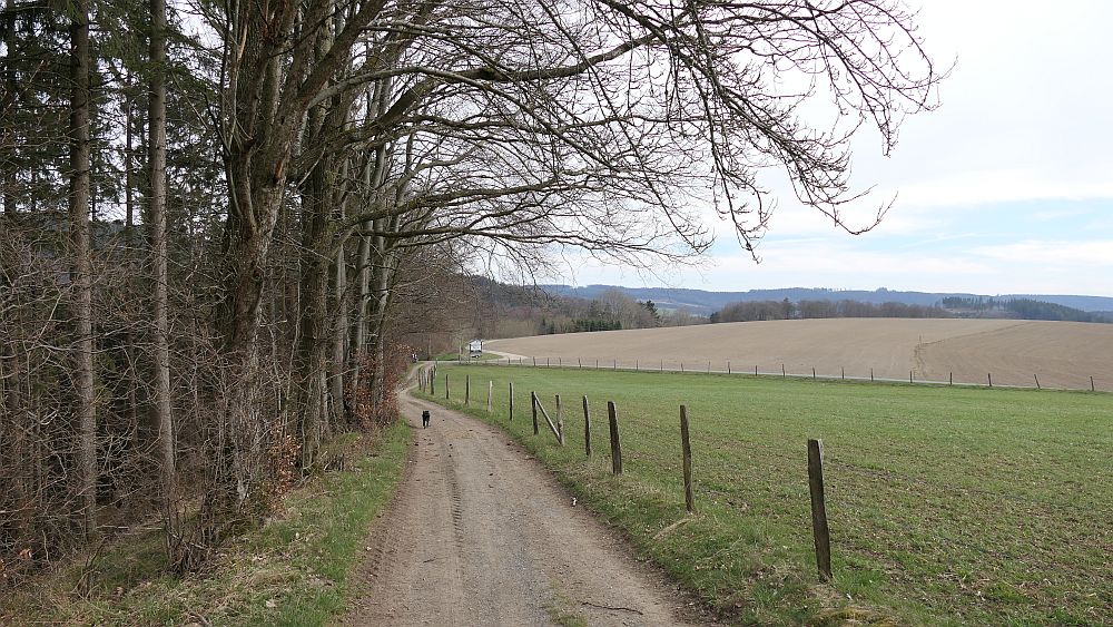 Niedersorpe