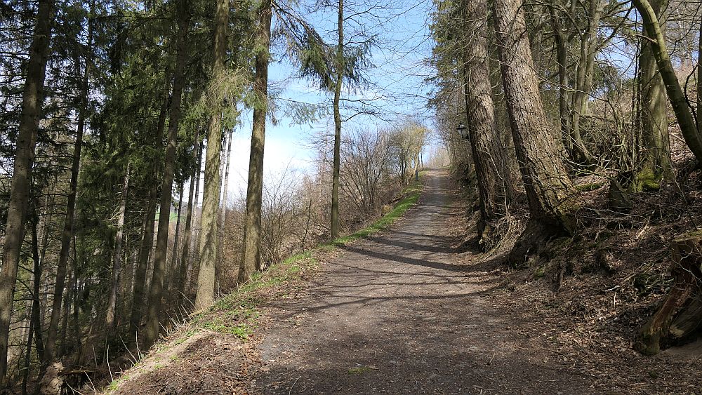 Niedersorpe